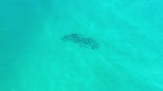 LOS CABOS MEXICO-2020: Great And Beautiful Footage Of Waves And Crystal Clear Water