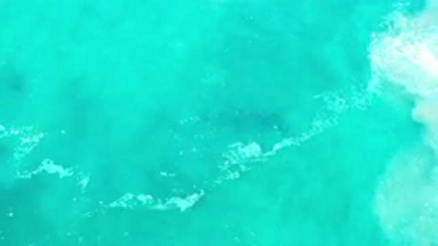 LOS CABOS MEXICO-2020: Scene of a Clear Green Sea Feels Amazing