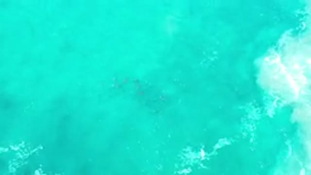 LOS CABOS MEXICO-2020: Turquoise Sea With Waves And Little Fishes Swimming