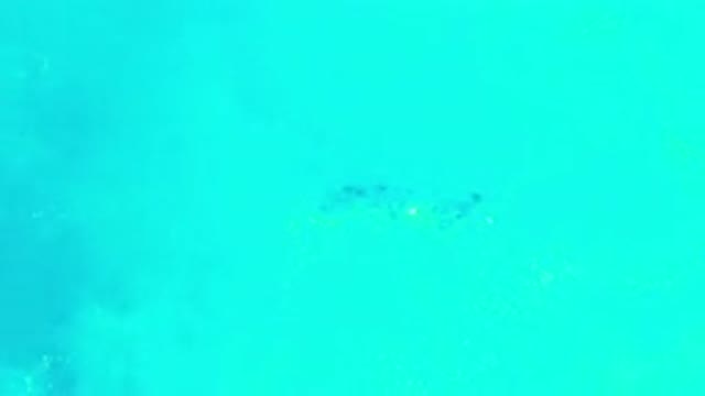 LOS CABOS MEXICO-2020: HD Scene of A Green Sea Relaxes Her Cousin