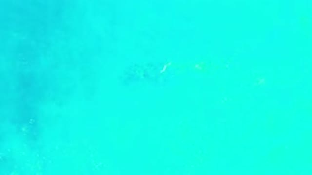 LOS CABOS MEXICO-2020: Small Circular Movement Of Dense Light Green Fog