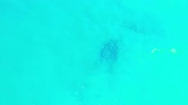 LOS CABOS MEXICO-2020: Unknown Object Glittering Beneath A Blue Sea
