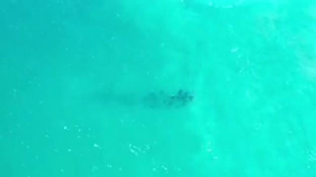 LOS CABOS MEXICO-2020: Aerial View Of Green Water Ocean With Some Ocean Life