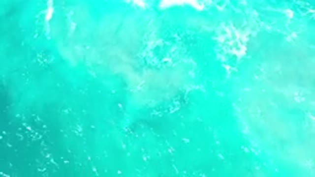 LOS CABOS MEXICO-2020: Great View of a Green Sea Brightens His Day