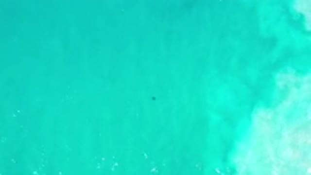 LOS CABOS MEXICO-2020: Dark Figure Below The Waves