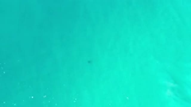 LOS CABOS MEXICO-2020: Sights of a Green Sea Make Me Happy