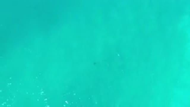 LOS CABOS MEXICO-2020: A Beautiful Landscape Of The Waters Of A Green