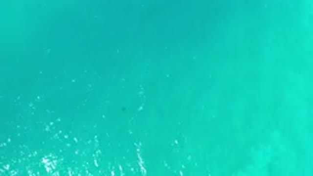 LOS CABOS MEXICO-2020: A Magnificent Blue Waters in Los Cabos