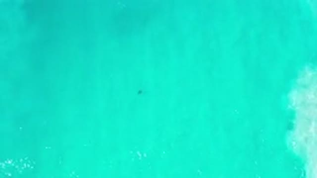 LOS CABOS MEXICO-2020: Never Compare This Beautiful Footage Of Waves And Crystal
