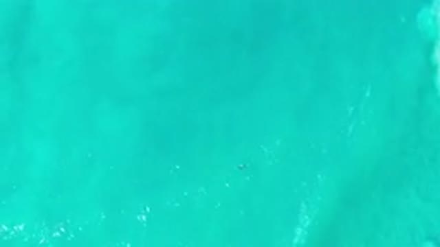 LOS CABOS MEXICO-2020: Nice Top View of a Green Sea Makes His Day Complete