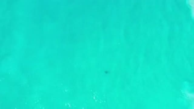 LOS CABOS MEXICO-2020: Cleanest Scene of a Green Sea Relaxes His Daughter