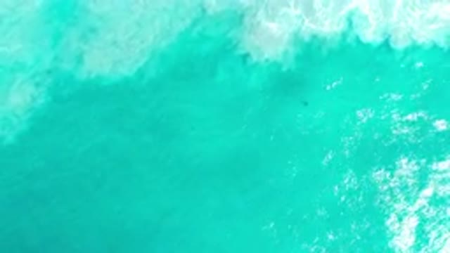 LOS CABOS MEXICO-2020: Elegant Scene of a Green Sea Makes Her Sleep