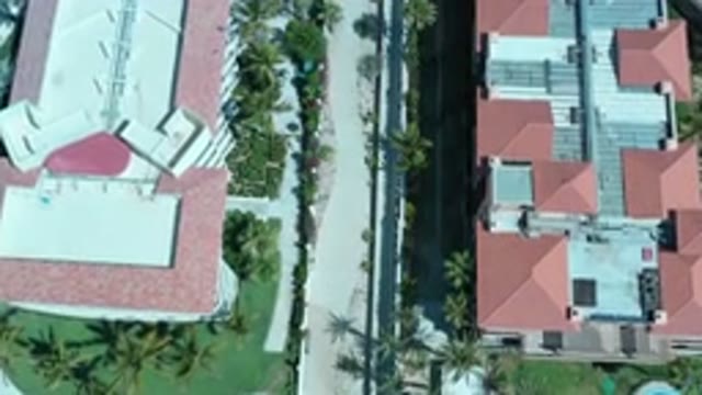 LOS CABOS MEXICO-2020: Winding Road Surrounded By Palm Trees Between Two Large Buildings