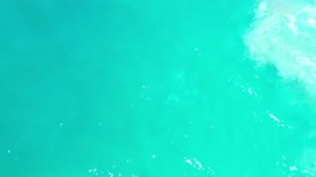 LOS CABOS MEXICO-2020: White Or Silver Fish Swim Below Green Ocean Water With