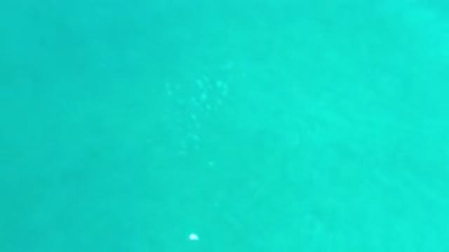LOS CABOS MEXICO-2020: HD Footage Of Crystal Clear Water With Sun Reflection