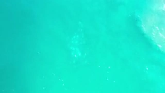 LOS CABOS MEXICO-2020: Green Sea Green Water Beautiful Day