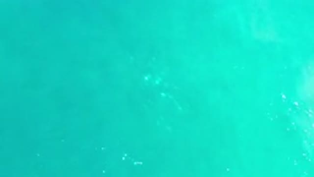 LOS CABOS MEXICO-2020: A Wonderful Green Sea