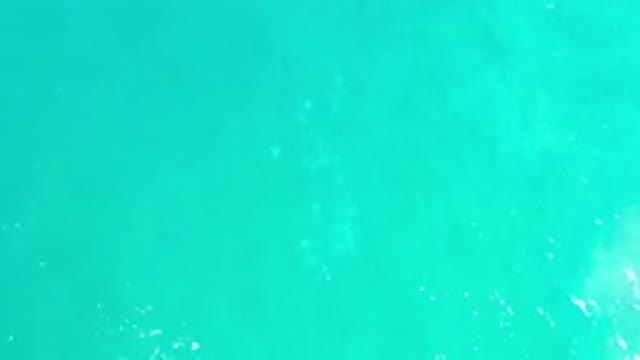 LOS CABOS MEXICO-2020: Something Erie In The Water