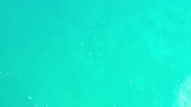 LOS CABOS MEXICO-2020: Aerial View Of A Clean Lake