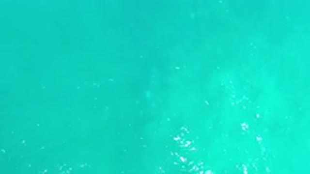 LOS CABOS MEXICO-2020: Green Sea Water Waving In A Peaceful Movement
