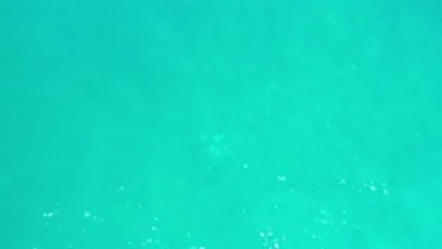 LOS CABOS MEXICO-2020: Top View Of Green Water With Light Waves And Something