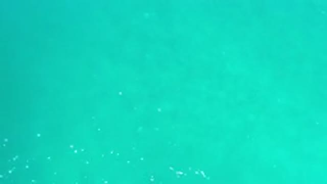 LOS CABOS MEXICO-2020: Rippling Waves Roll Slowly Over Crystal Clear Green Ocean