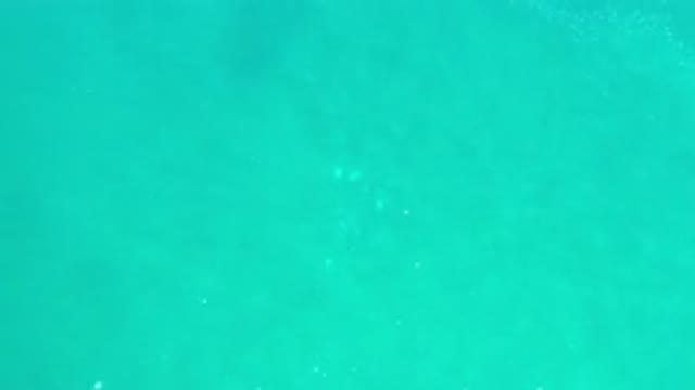 LOS CABOS MEXICO-2020: Crystal Clear Water With Small Waves