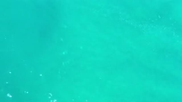 LOS CABOS MEXICO-2020: Amazing Green Water Waves