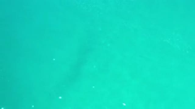 LOS CABOS MEXICO-2020: Crystal Clear Waters in Green Tone Calm and Relaxing Sea