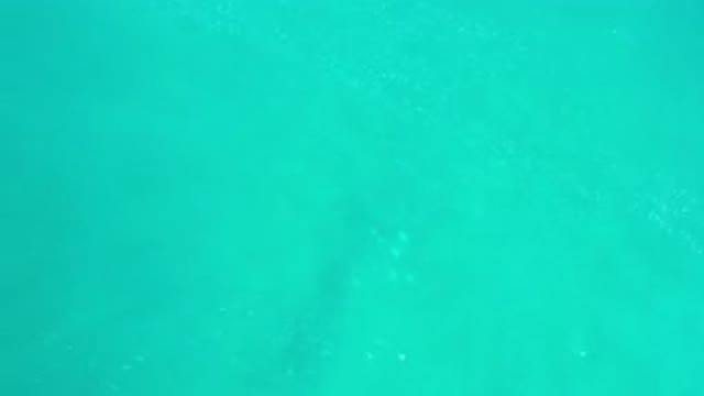 LOS CABOS MEXICO-2020: Something Glowing Is Moving Under Deep Green Sea