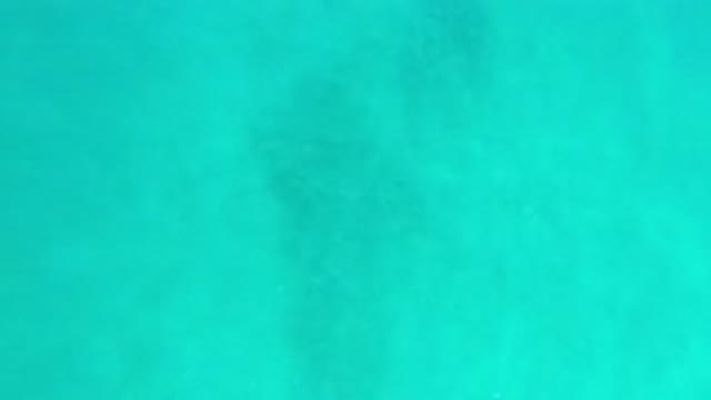 LOS CABOS MEXICO-2020: The Movement Of Coming And Going From The Waters Of The