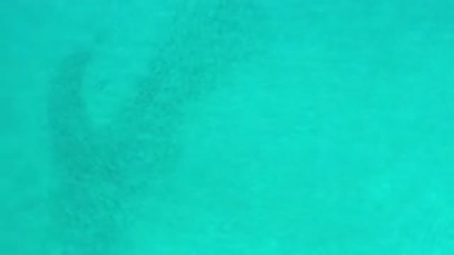 LOS CABOS MEXICO-2020: Calming Turquoise Waves Slowly Drift with Tiny Fish Along the Shore