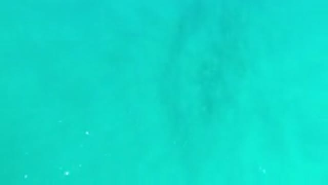 LOS CABOS MEXICO-2020: Light Dances Across Rippling Waves Of Crystal Clear Green
