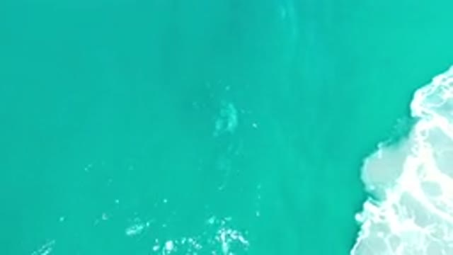 LOS CABOS MEXICO-2020: A Green Beautiful Sea