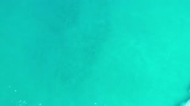 LOS CABOS MEXICO-2020: Peaceful Restful Colors That Evoke Water