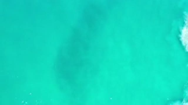 LOS CABOS MEXICO-2020: Dark Shadow Moves Beneath Green Ocean Water