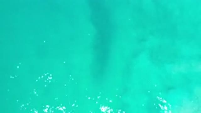 LOS CABOS MEXICO-2020: Green And Calm Lake