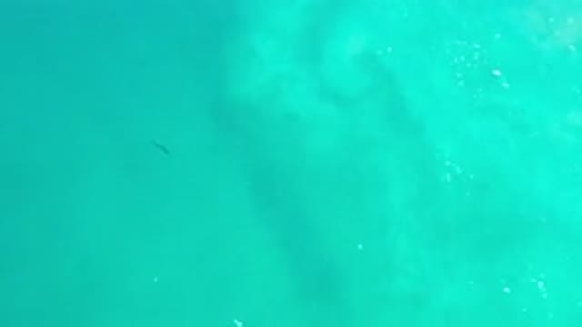 LOS CABOS MEXICO-2020: Beautiful Blue Water And A Little Fish Are Seen From