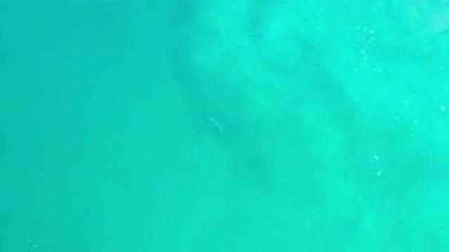 LOS CABOS MEXICO-2020: See How The Sea Water In Mexico Is So Clear That You Can
