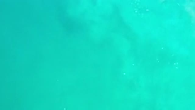 LOS CABOS MEXICO-2020: Most Recommended-Visit Scene of A Green Sea Relaxes His