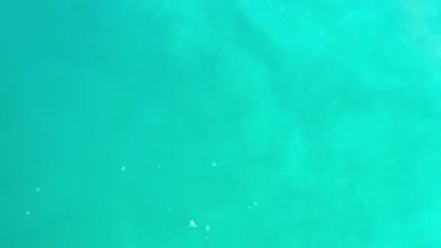 LOS CABOS MEXICO-2020: Beautiful And Crystal-like Green Sea in Los Cabos