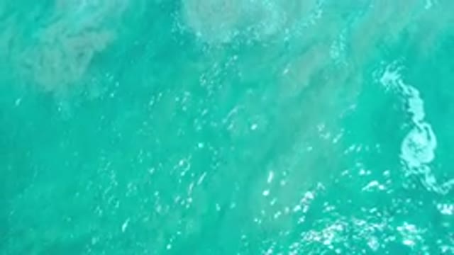 LOS CABOS MEXICO-2020: An Aerial View Of An Extremely Green Sea With A Strong Wave Forming