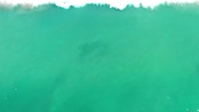 LOS CABOS MEXICO-2020: Brilliant And Beautiful Footage Of Waves And Crystal Water