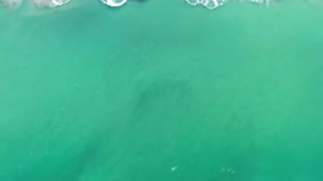 LOS CABOS MEXICO-2020: A Gentle Wave Moving in Deep Green Colored Sea