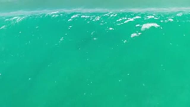 LOS CABOS MEXICO-2020: Imagine Not Caring For Such A Beauty As Nature