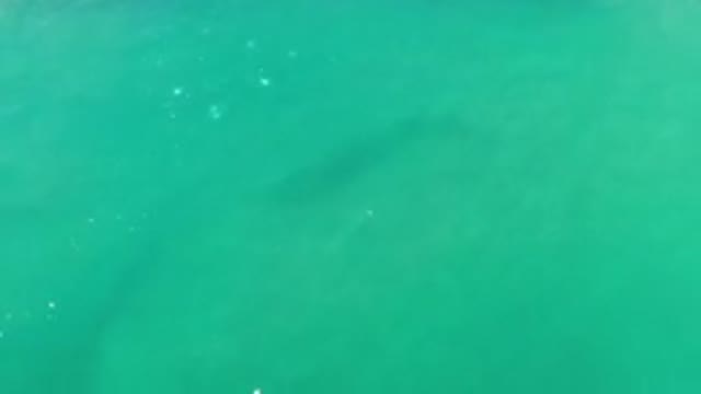 LOS CABOS MEXICO-2020: Green Sea On A Bright Sunny Day