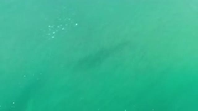 LOS CABOS MEXICO-2020: Relaxing Top View Of A Green Sea