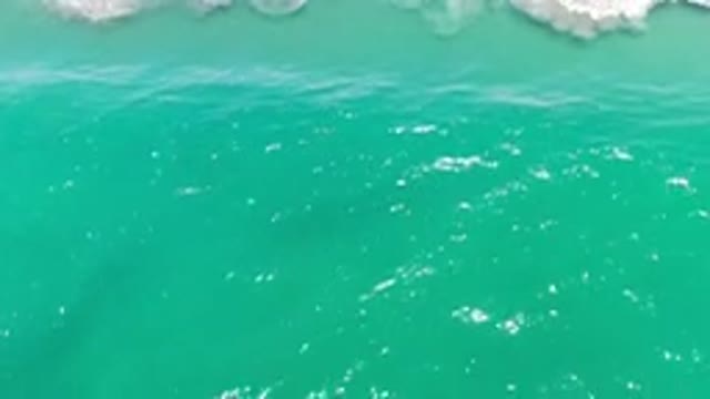 LOS CABOS MEXICO-2020: Blue And Green Ocean Wave Traveling Peacefully And Breaking