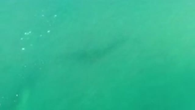 LOS CABOS MEXICO-2020: Beautiful Blue Ocean View From Above With Shadows Of