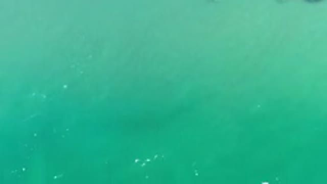 LOS CABOS MEXICO-2020: The Calm Movement Of The Waves Of A Beautiful And Green